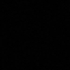 Meet your Posher, Lily